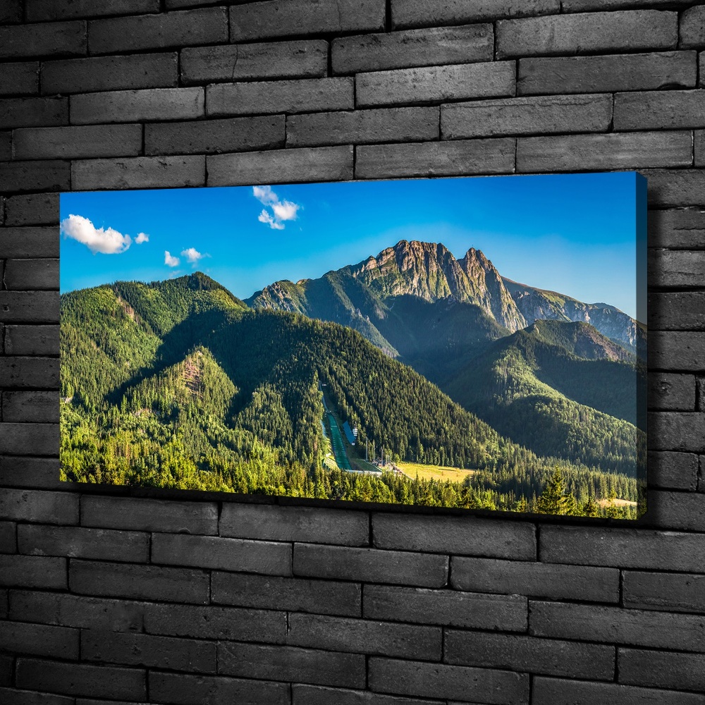 Tableau sur toile Panorama des Tatras