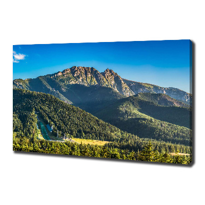 Tableau sur toile Panorama des Tatras