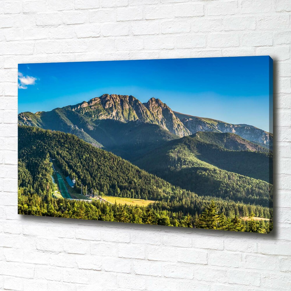 Tableau sur toile Panorama des Tatras