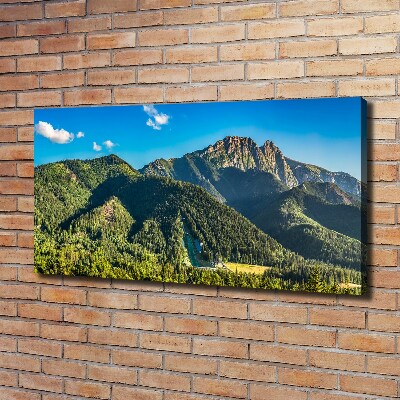 Tableau sur toile Panorama des Tatras