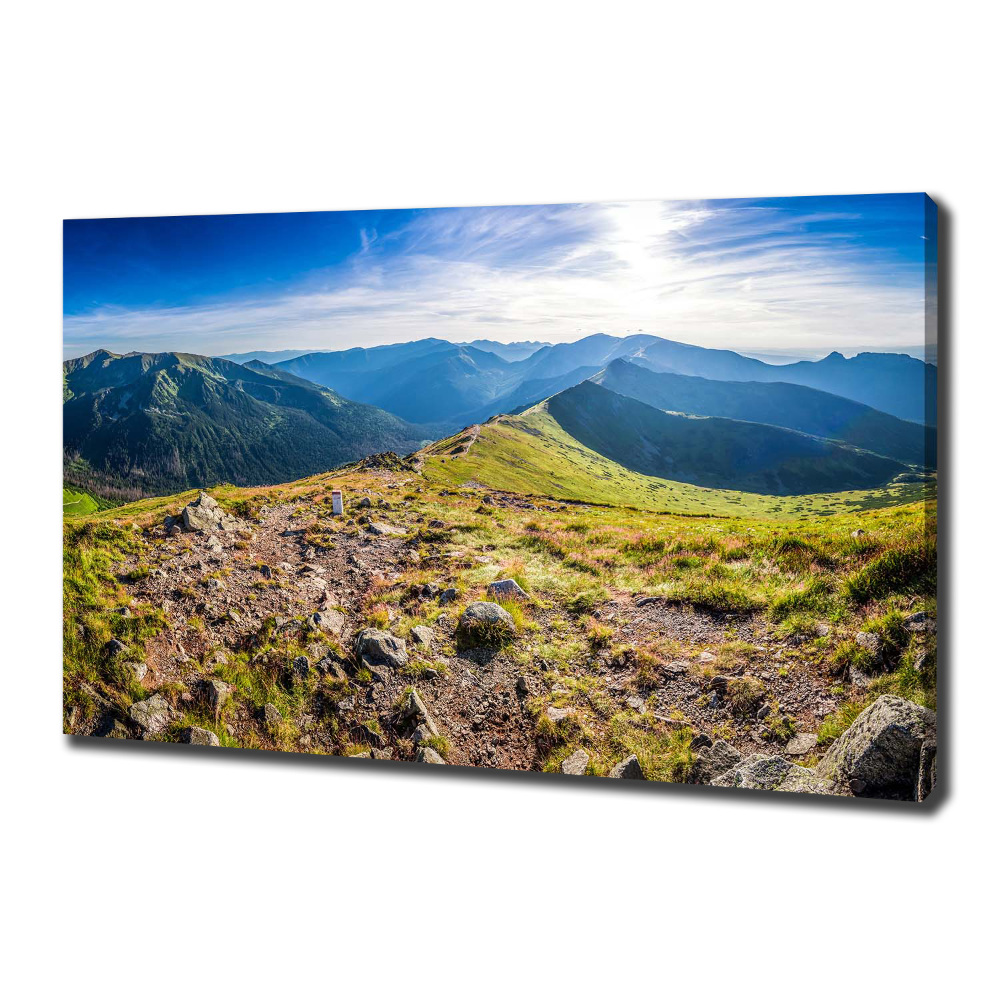 Tableau sur toile Panorama de montagne