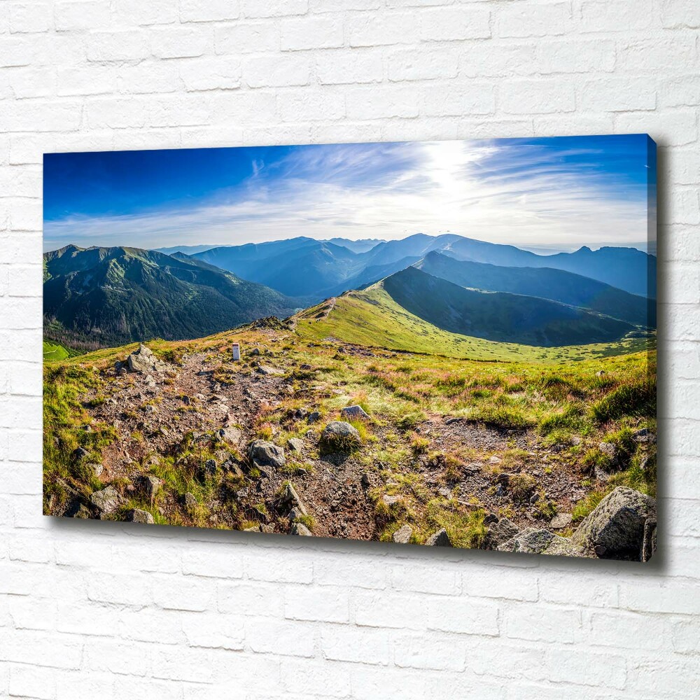 Tableau sur toile Panorama de montagne