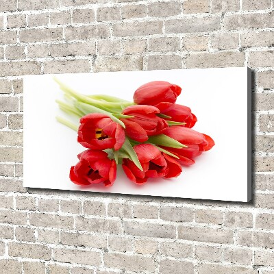 Tableau mural sur toile Tulipes rouges