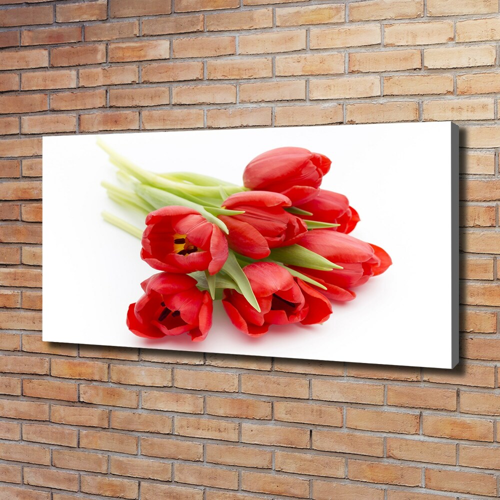 Tableau mural sur toile Tulipes rouges