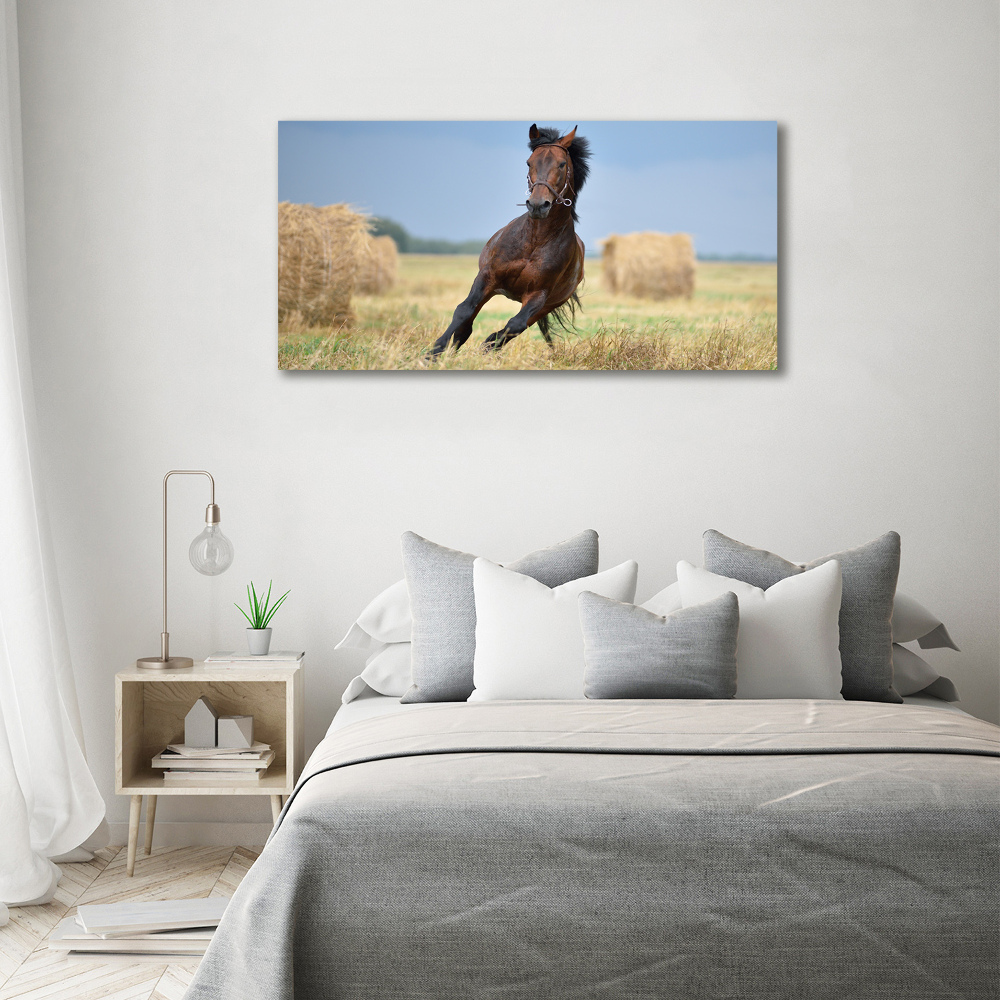 Tableau photo sur toile Cheval au galop