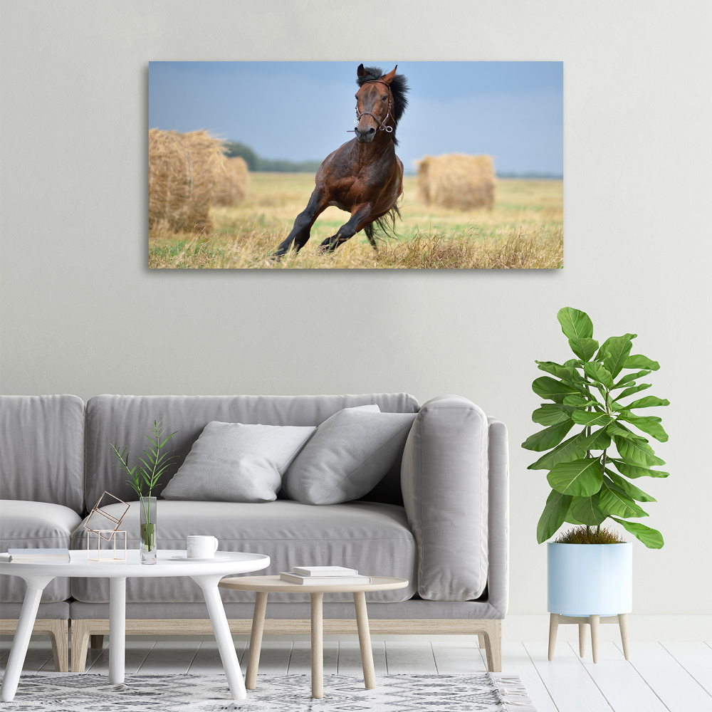 Tableau photo sur toile Cheval au galop