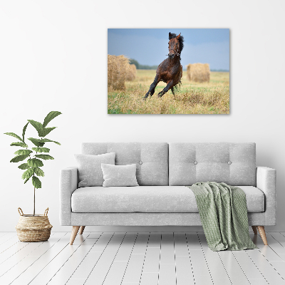 Tableau photo sur toile Cheval au galop