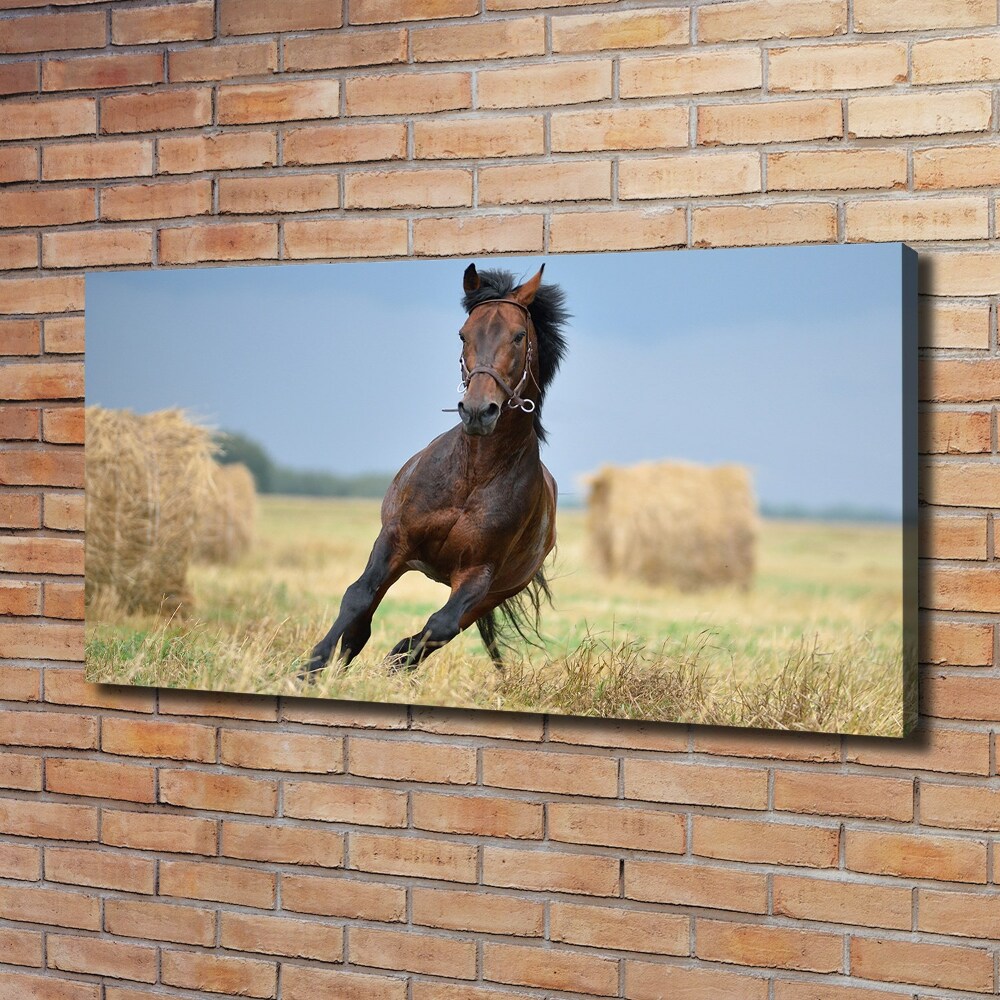 Tableau photo sur toile Cheval au galop