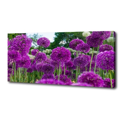 Tableau photo sur toile Fleurs d'ail