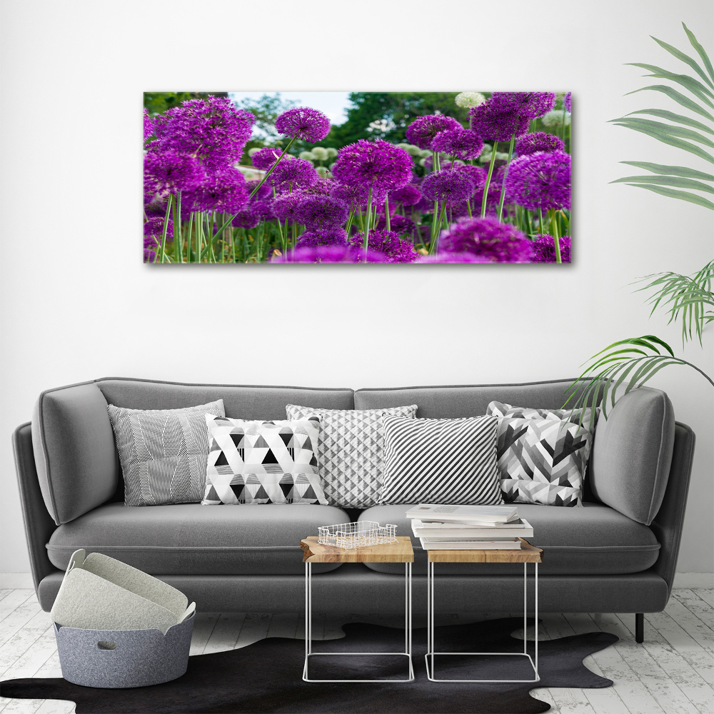 Tableau photo sur toile Fleurs d'ail