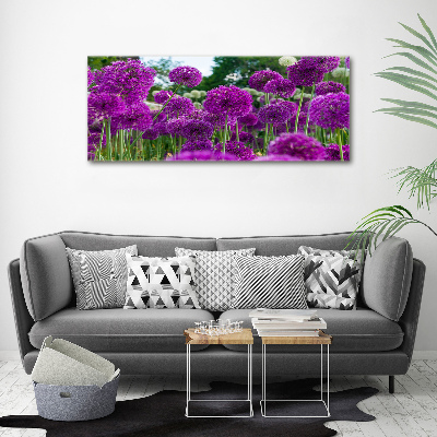 Tableau photo sur toile Fleurs d'ail