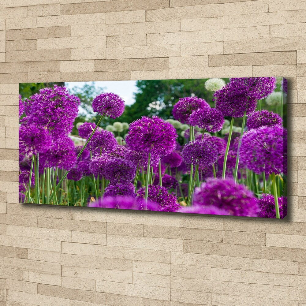 Tableau photo sur toile Fleurs d'ail