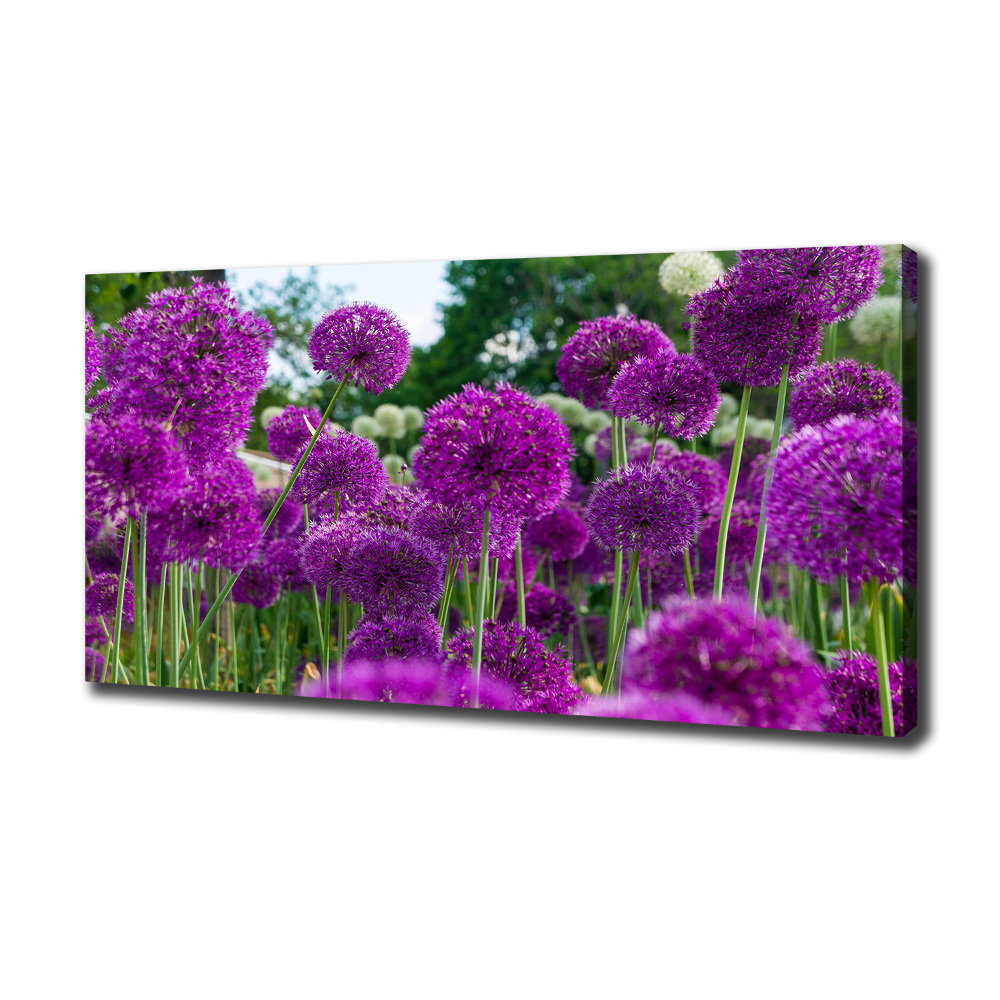 Tableau photo sur toile Fleurs d'ail