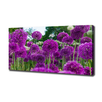 Tableau photo sur toile Fleurs d'ail