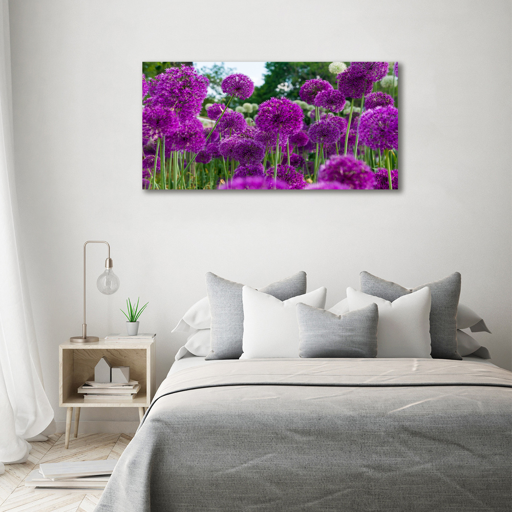 Tableau photo sur toile Fleurs d'ail