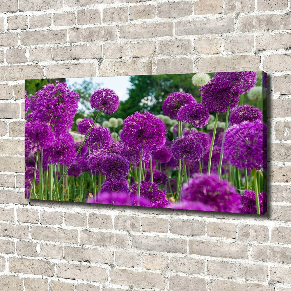 Tableau photo sur toile Fleurs d'ail