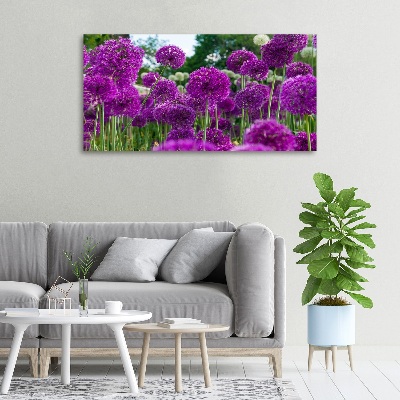 Tableau photo sur toile Fleurs d'ail