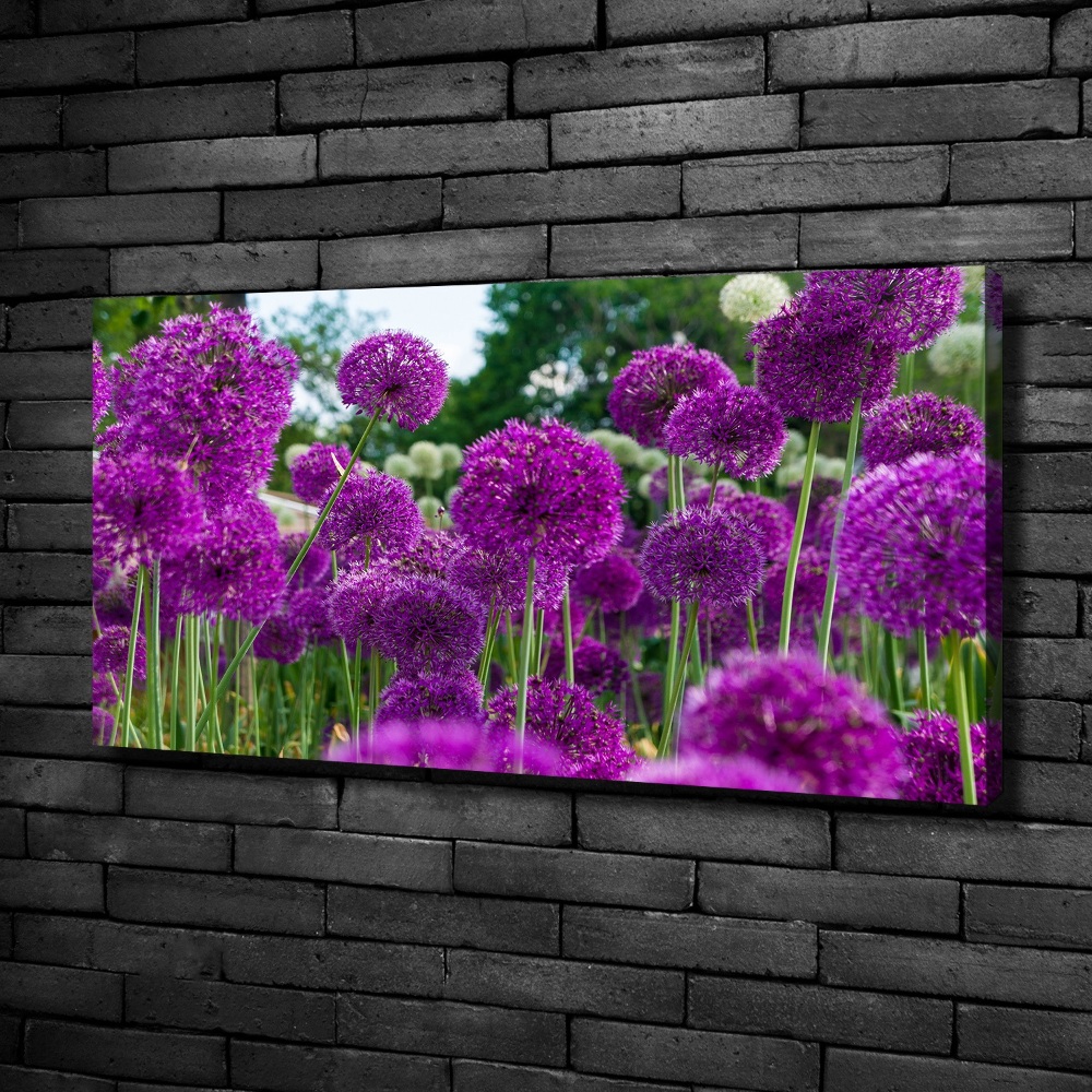 Tableau photo sur toile Fleurs d'ail