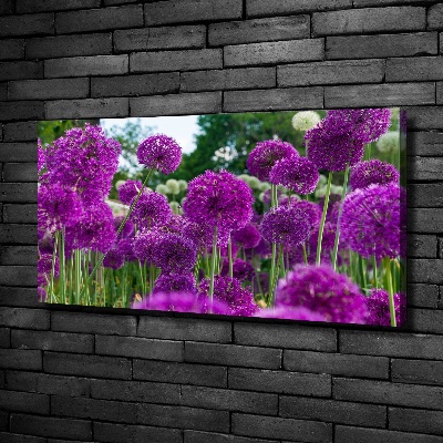 Tableau photo sur toile Fleurs d'ail