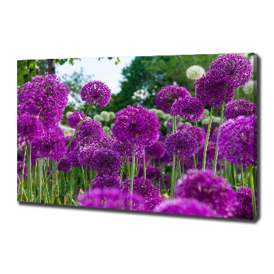 Tableau photo sur toile Fleurs d'ail