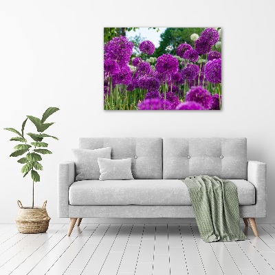 Tableau photo sur toile Fleurs d'ail