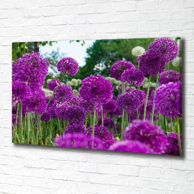 Tableau photo sur toile Fleurs d'ail