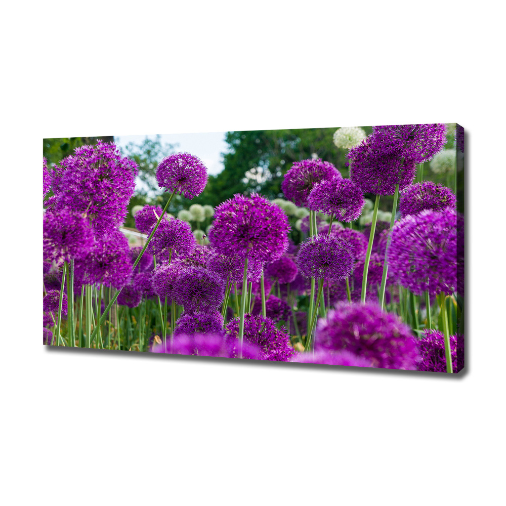 Tableau photo sur toile Fleurs d'ail