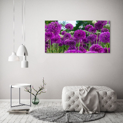 Tableau photo sur toile Fleurs d'ail