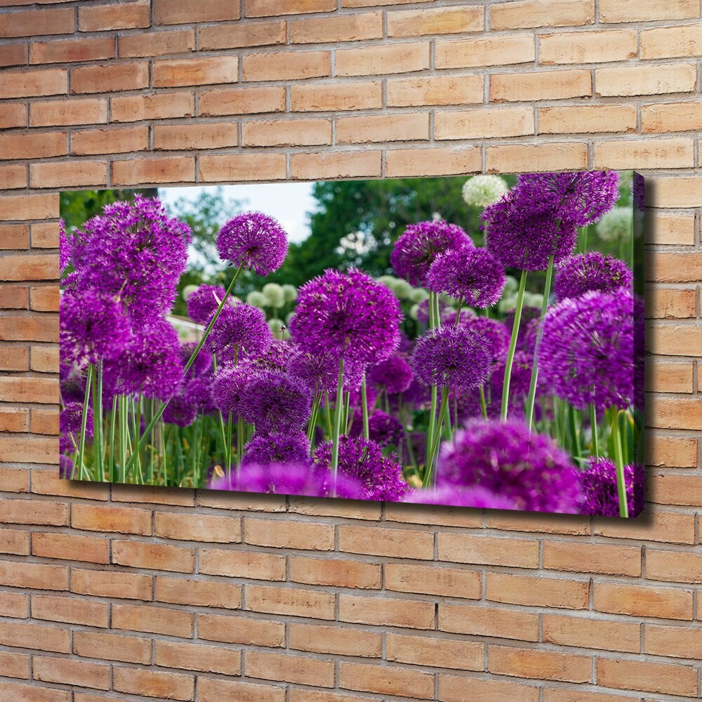 Tableau photo sur toile Fleurs d'ail