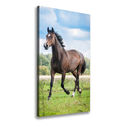 Tableau mural sur toile Cheval dans le champ