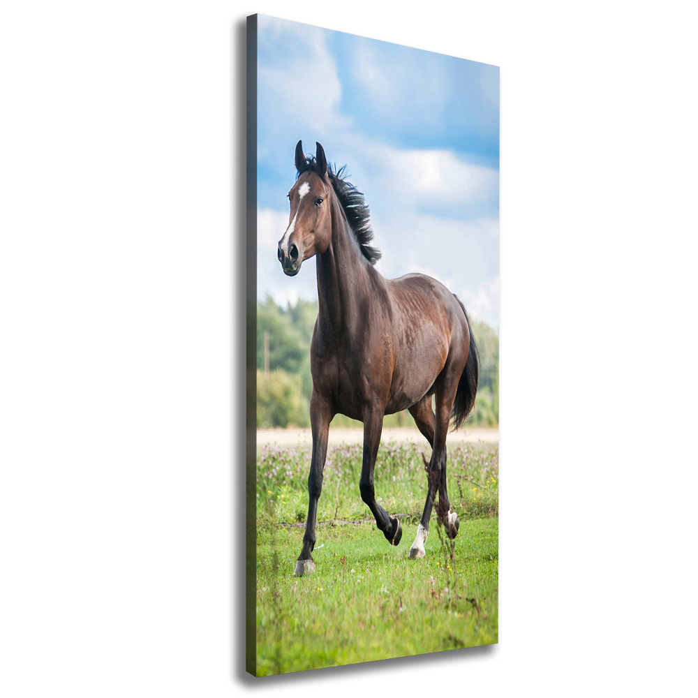 Tableau mural sur toile Cheval dans le champ