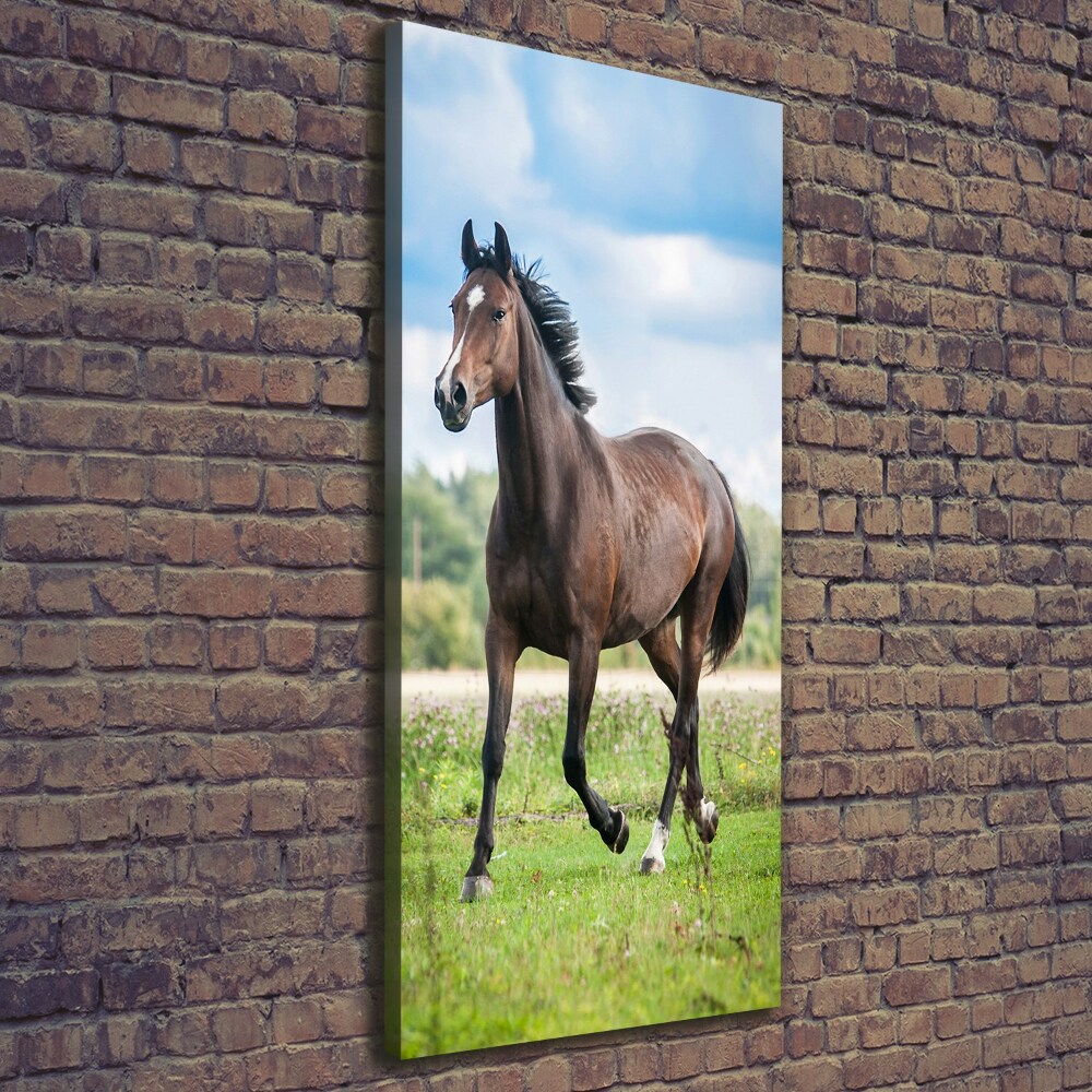 Tableau mural sur toile Cheval dans le champ