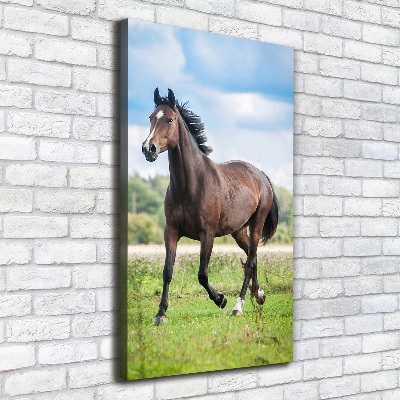 Tableau mural sur toile Cheval dans le champ