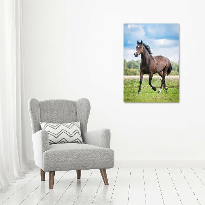 Tableau mural sur toile Cheval dans le champ