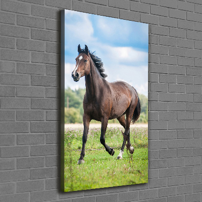 Tableau mural sur toile Cheval dans le champ