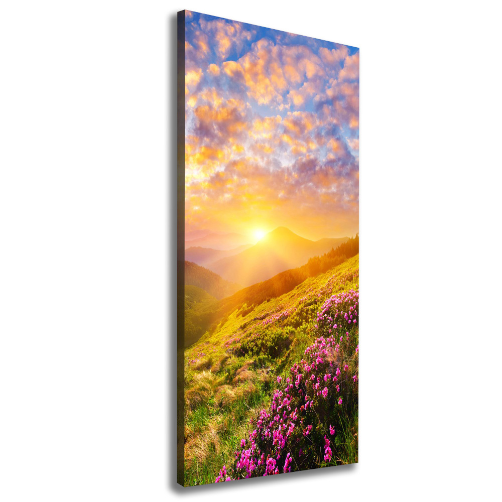 Tableau mural sur toile Coucher de soleil en montagne