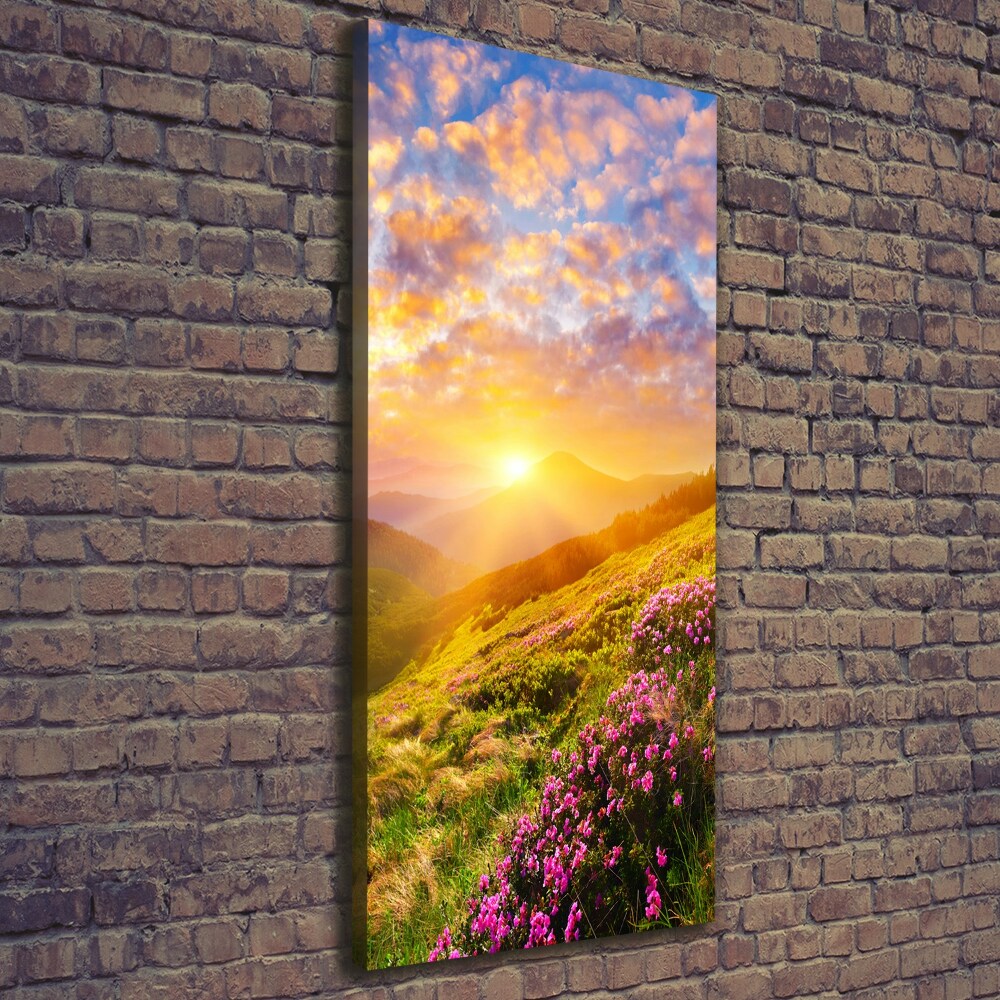 Tableau mural sur toile Coucher de soleil en montagne