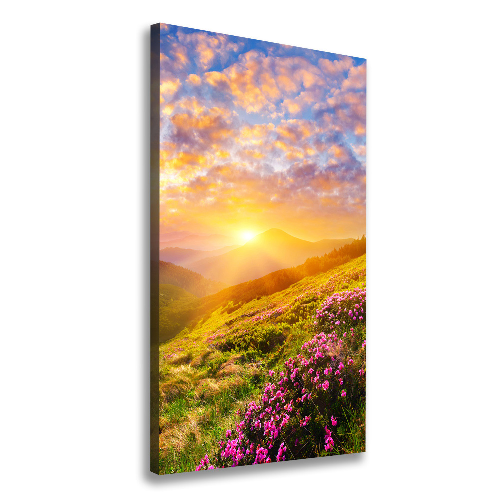 Tableau mural sur toile Coucher de soleil en montagne