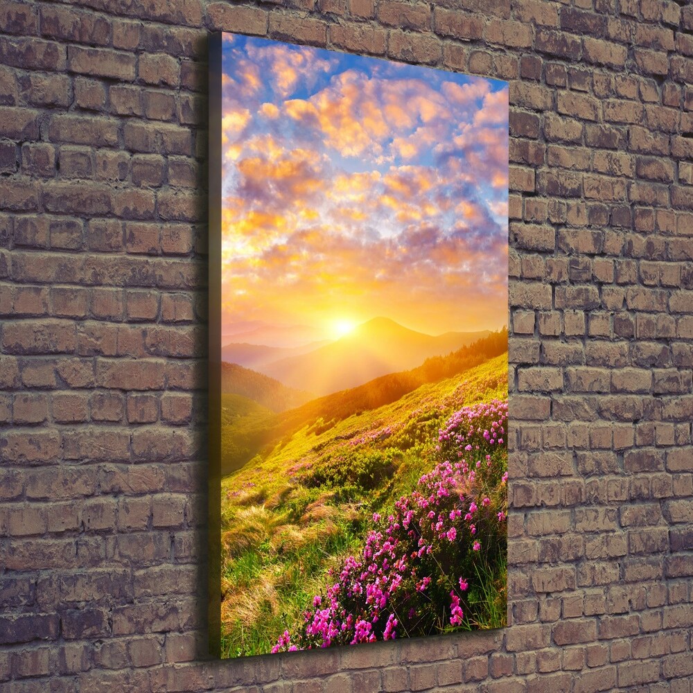 Tableau mural sur toile Coucher de soleil en montagne