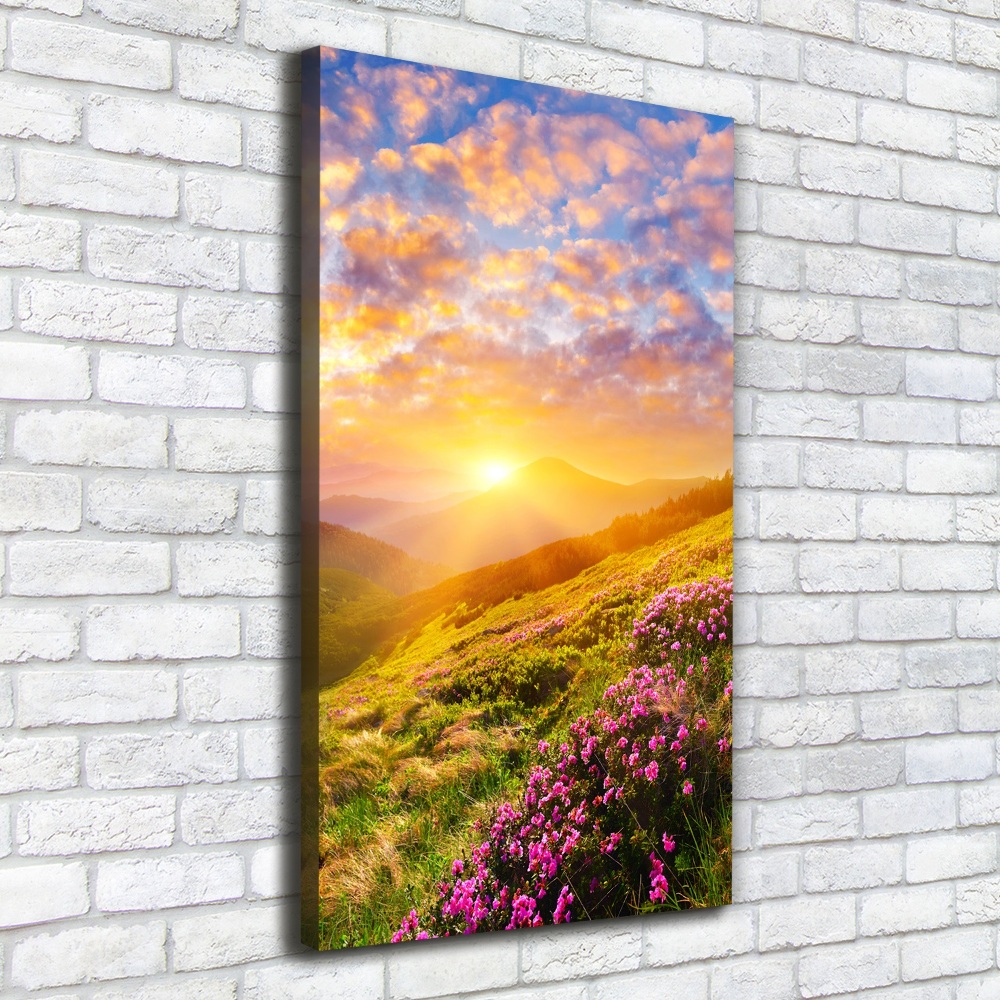 Tableau mural sur toile Coucher de soleil en montagne