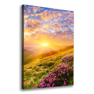 Tableau mural sur toile Coucher de soleil en montagne