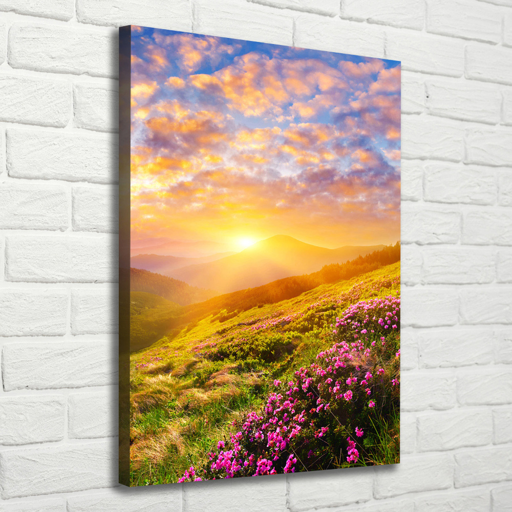 Tableau mural sur toile Coucher de soleil en montagne