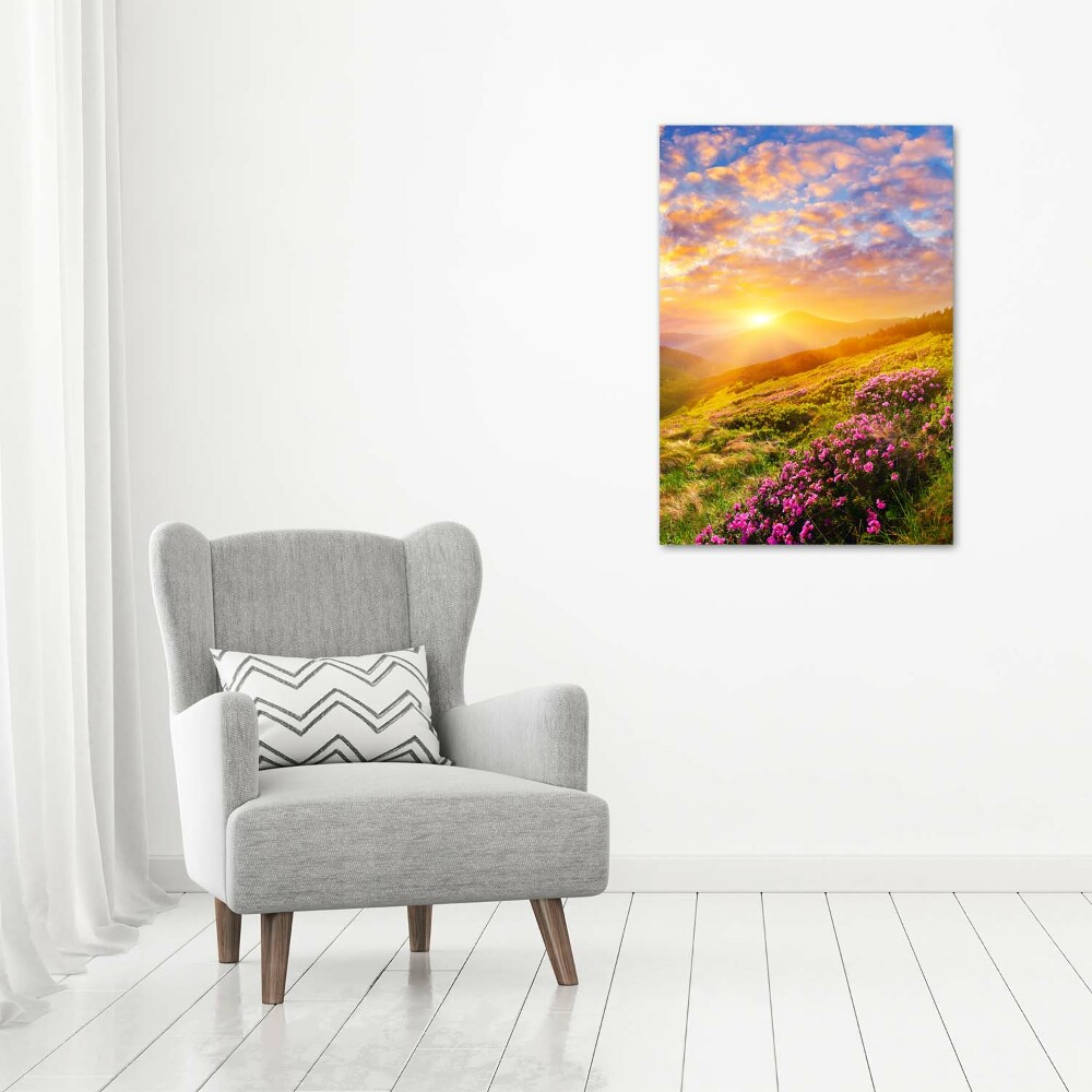 Tableau mural sur toile Coucher de soleil en montagne