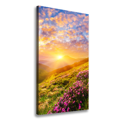 Tableau mural sur toile Coucher de soleil en montagne