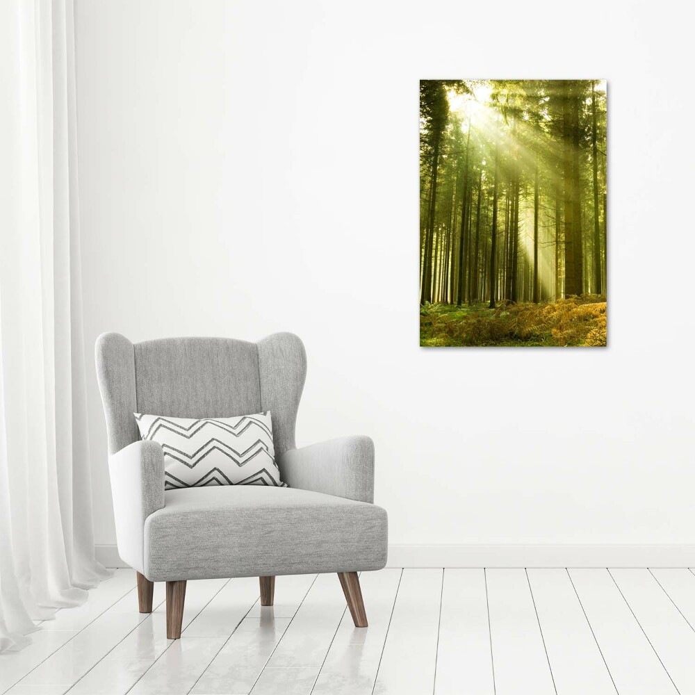 Tableau photo sur toile Soleil dans la forêt