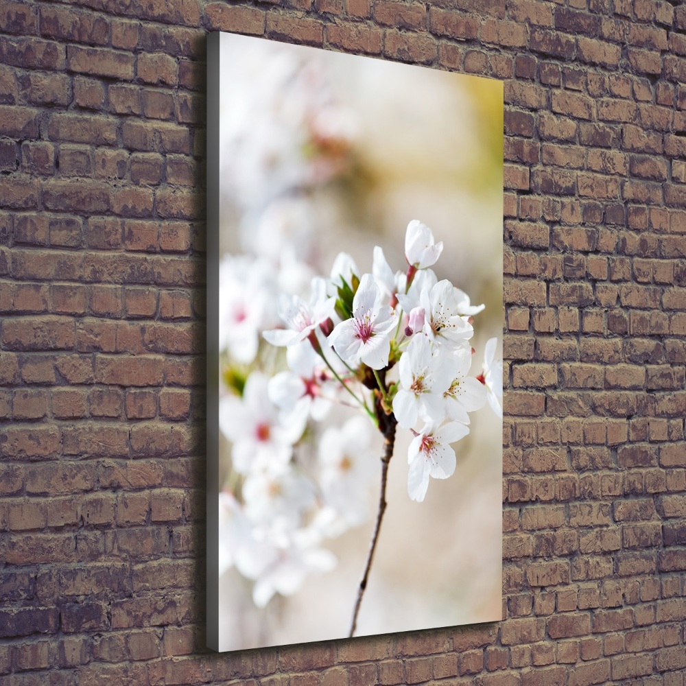 Tableau imprimé sur toile Cerisier en fleur