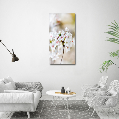 Tableau imprimé sur toile Cerisier en fleur