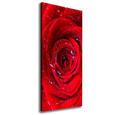 Tableau photo sur toile Rose rouge