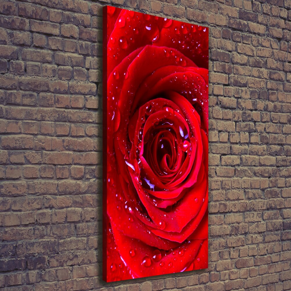 Tableau photo sur toile Rose rouge