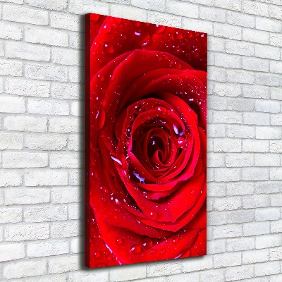 Tableau photo sur toile Rose rouge